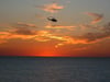 A sunset helicopter ride is a very special experience! You can catch a ride all day long, too!