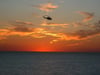 Take a helicopter flight during the day or at sunset for a special treat.