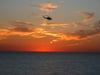 Sunset is a special time in PCB. Whether you just enjoy it from your balcony or the beach or take a special sunset helicopter ride, it's a new experience each evening.