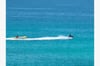 Rent jet skis from Beach Service