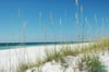 Miles and Miles of sugary white sand