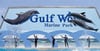 Swim with dolphins at Gulf World Marine Park