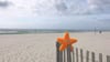 You'll love Solace, Edgewater 613T3 in beautiful Panama City Beach, Florida as much as Sandy Starfish the Emerald Beach Properties Mascot does!